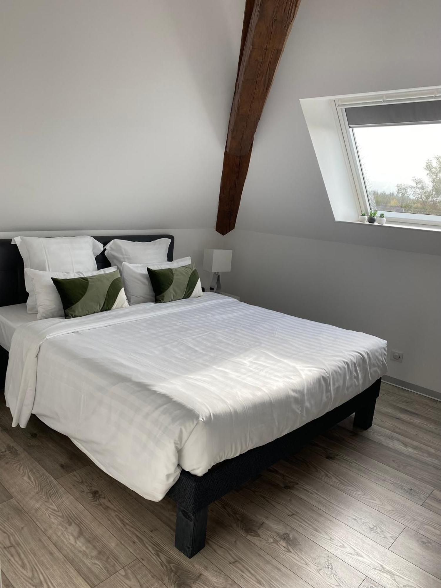 Aparthotel Les Rives Des Habsbourg Ensisheim Zewnętrze zdjęcie